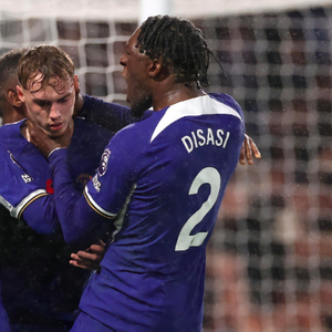 逆水寒手游苦情树花作用攻略详解